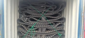 Тропа аллигатора